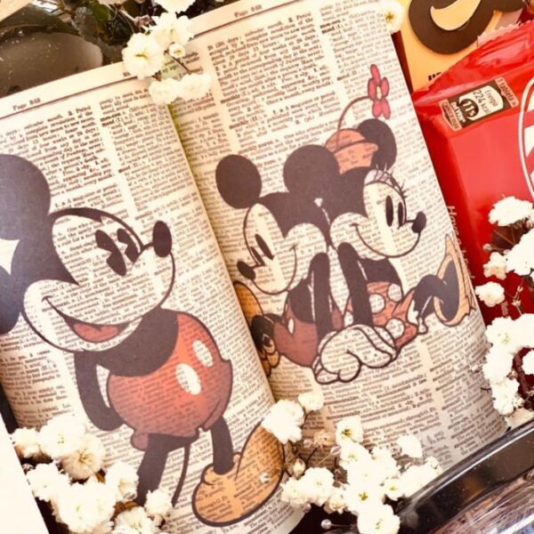 Box temático premium - Image 5